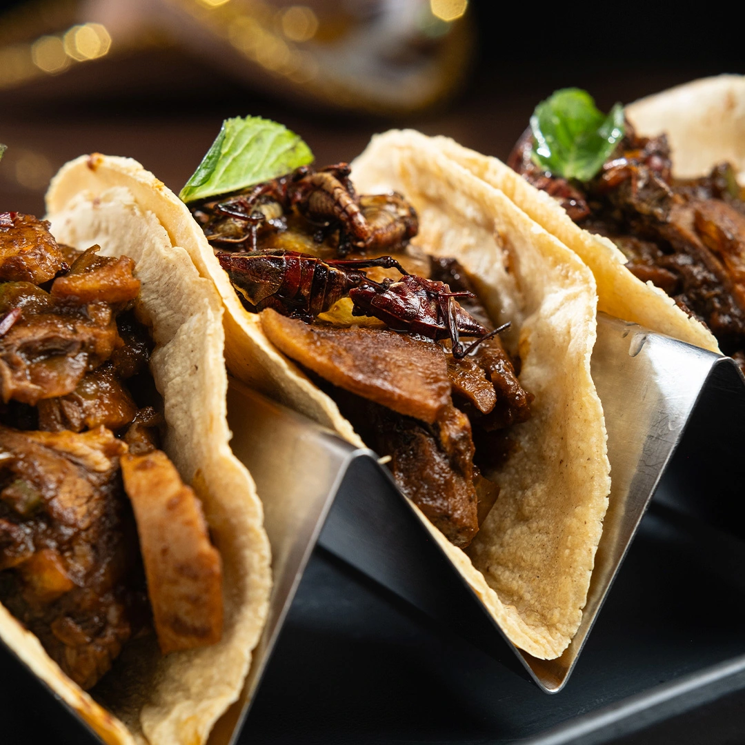 tacos_lengua_closeup_carrusel_inicio_new_contraste_restaurante_atizapan